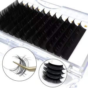 Wholesale Wendys Lash Extensions Kit