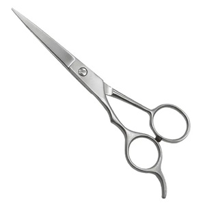 Professional Hairdressing Scissors Stainless Steel Sharp Blade Plastic Handle